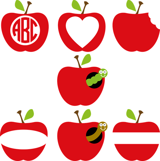 Apple Kimliği Sıfırlama Nasıl Yapılır?