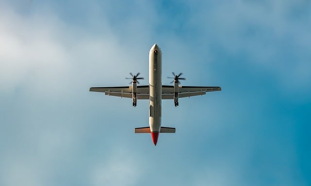 Bebeklerde Uçak Bileti Kaç Yaşa Kadar Ücretsiz Pegasus?